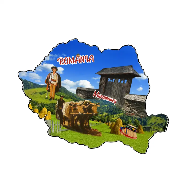 Mgs203-magnet frigider maramures ro.harta